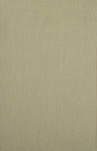 Essays in Radical Empiricism