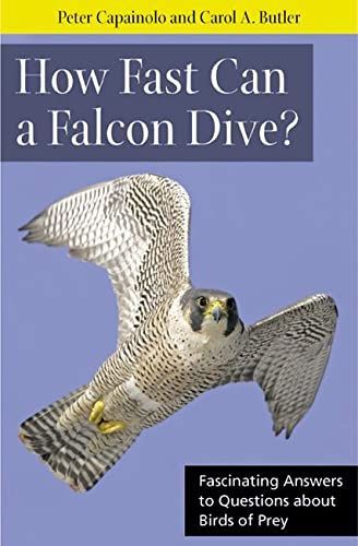 How Fast Can a Falcon Dive?