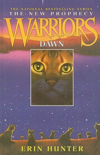 Dawn