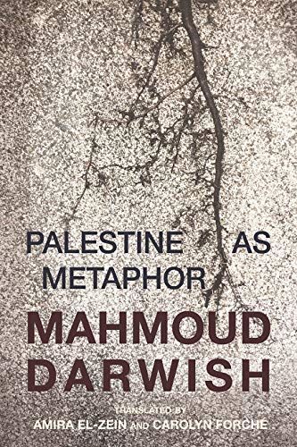 Palestine As Metaphor