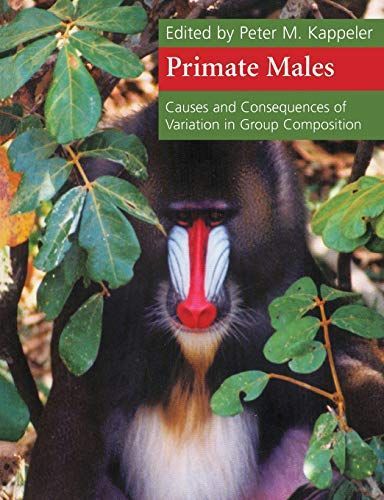 Primate Males