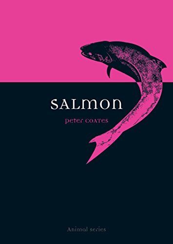 Salmon