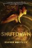 Shutdown