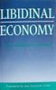 Libidinal Economy