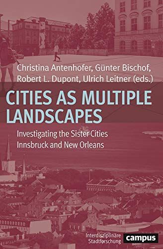 Cities as Multiple Landscapes