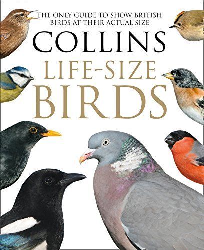 Collins Life-Sized Birds
