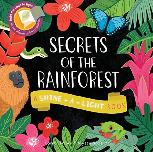 Secrets of the Rainforest