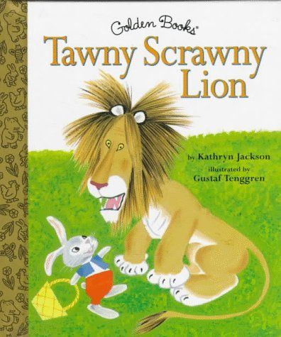 Tawny Scrawny Lion