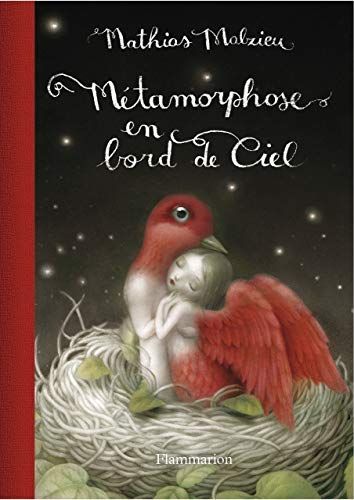 Métamorphose en bord de ciel