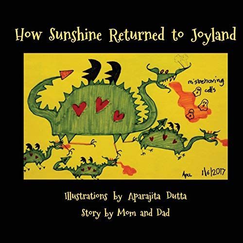 How Sunshine Returned to Joyland