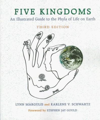 Five Kingdoms