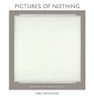 Pictures of Nothing