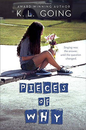 Pieces of why