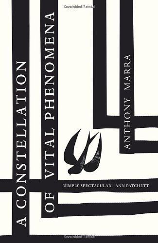 A Constellation of Vital Phenomena