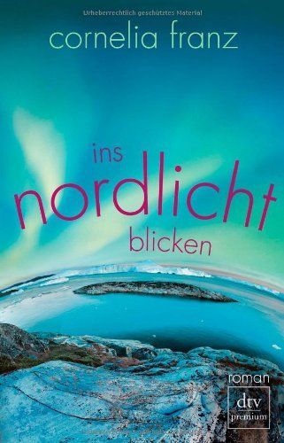 Ins Nordlicht blicken