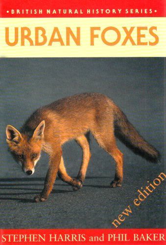 Urban Foxes