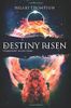 Destiny Risen