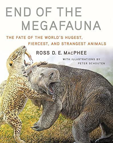 End of the Megafauna