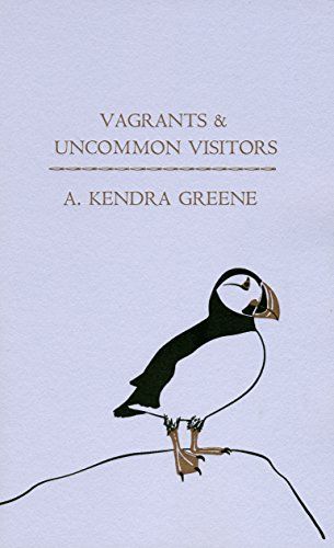 Vagrants & Uncommon Visitors