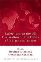Reflections on the UN Declaration on the Rights of Indigenous Peoples