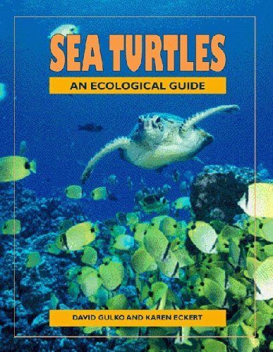 Sea Turtles