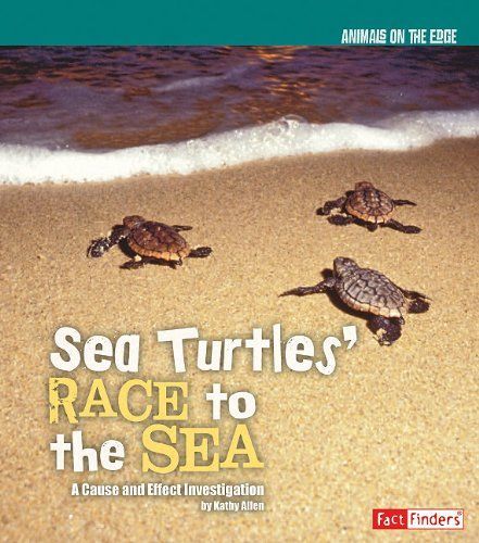 Sea Turtles' Race to the Sea