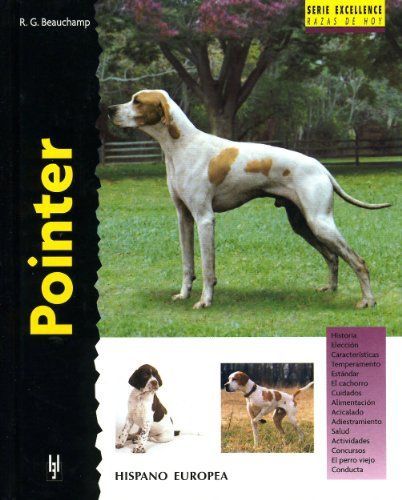 Pointer