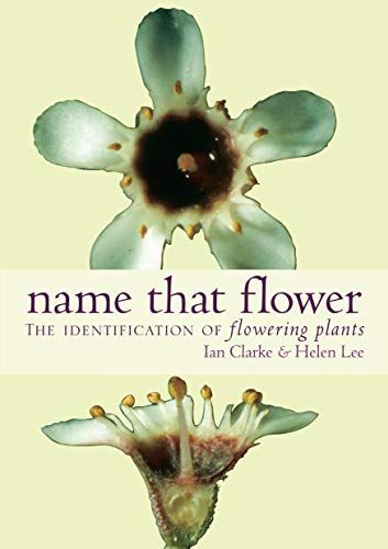 Name that Flower