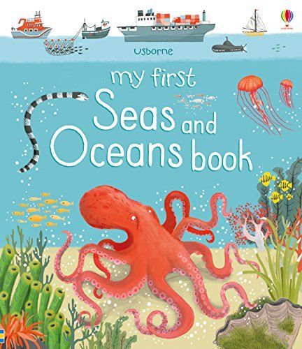 My First Seas and Oceans Book