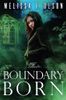 Boundary Born