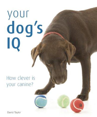 Your Dog's IQ