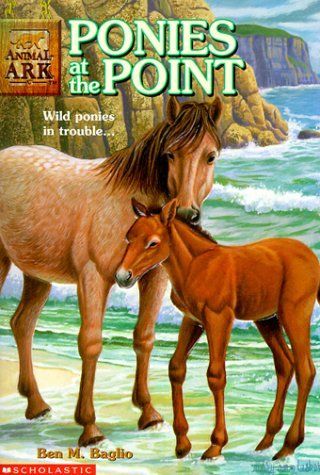 Ponies at the Point