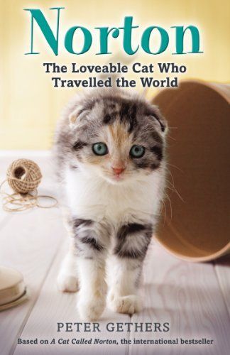 Norton, the Loveable Cat Who Travelled the World