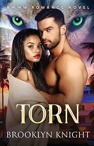 Torn: A Bwwm Romance