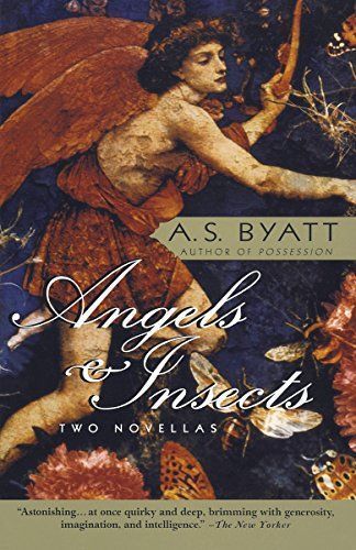 Angels & Insects