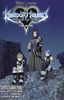Kingdom Hearts Birth by Sleep: The Novel (light novel)