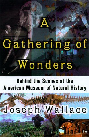 A Gathering of Wonders