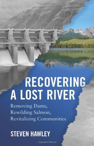 Recovering a Lost River