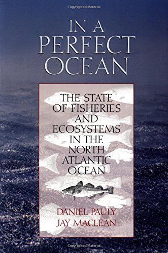 In a Perfect Ocean