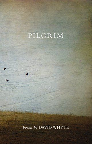 Pilgrim