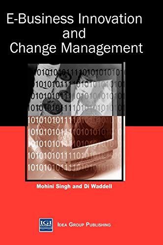 E-business Innovation and Change Management