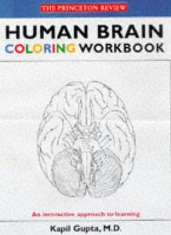 Human Brain Coloring Workbook