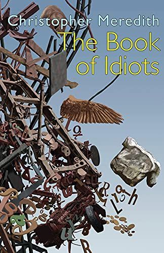 The Book of Idiots