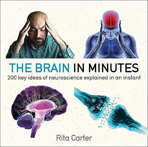 The Brain in Minutes