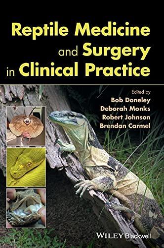 Reptile Medicine and Surgery in Clinical Practice