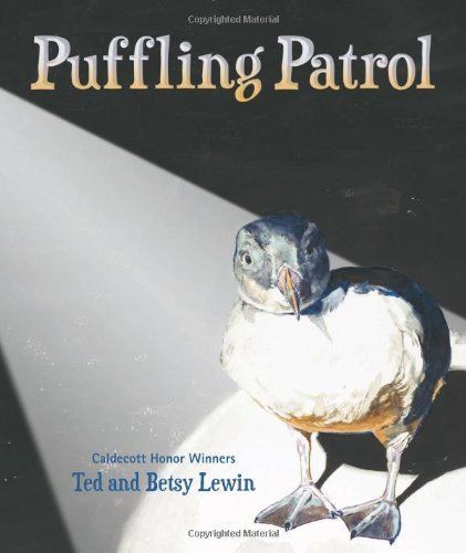 Puffling Patrol