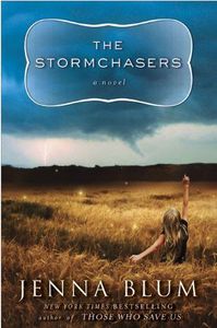 The Stormchasers