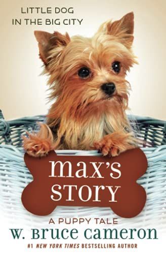 Max's Story