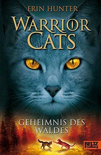 Geheimnis des Waldes