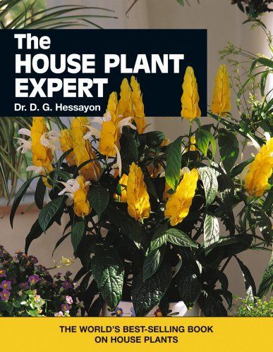 The House Plant Expert